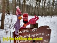 /home//u458753944/public_html/sourcegallery///////////////////////////////////////////////////////Chickens/Valley Forge/IMG_20201220_122837874_HDR.jpg